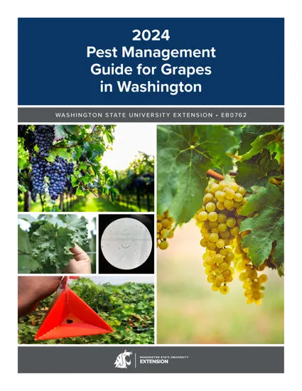 Pest Management Guide for Grapes in Washington