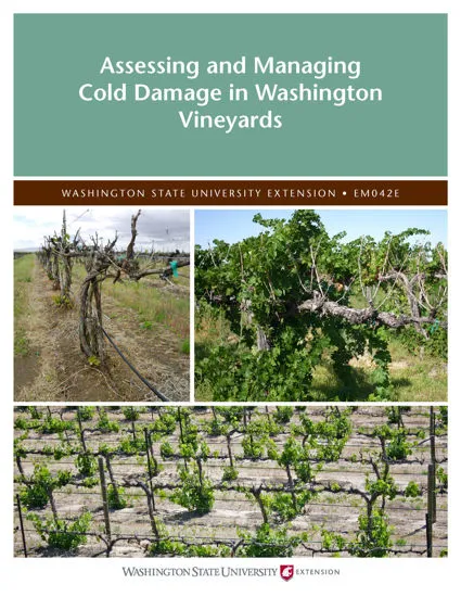 a book about Assessing and Managing Cold Damage in Washington Vineyards