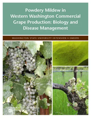 A book about Powdery Mildew in Western Washington Commercial Grape Production: Biology and Disease Management