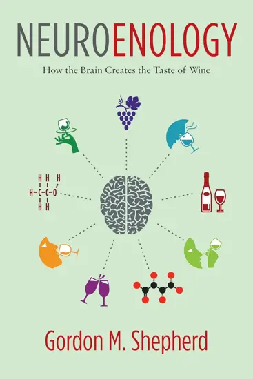 Neuroenology
