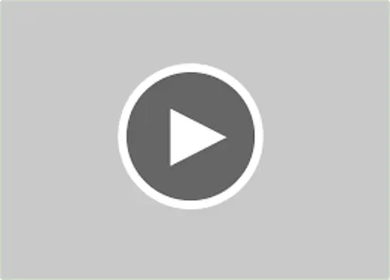 Picture of ZST vendor video Product 1