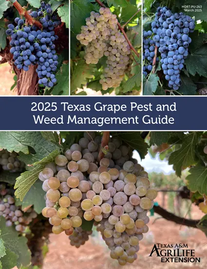 2025 Texas Grape Pest and Weed Management Guide